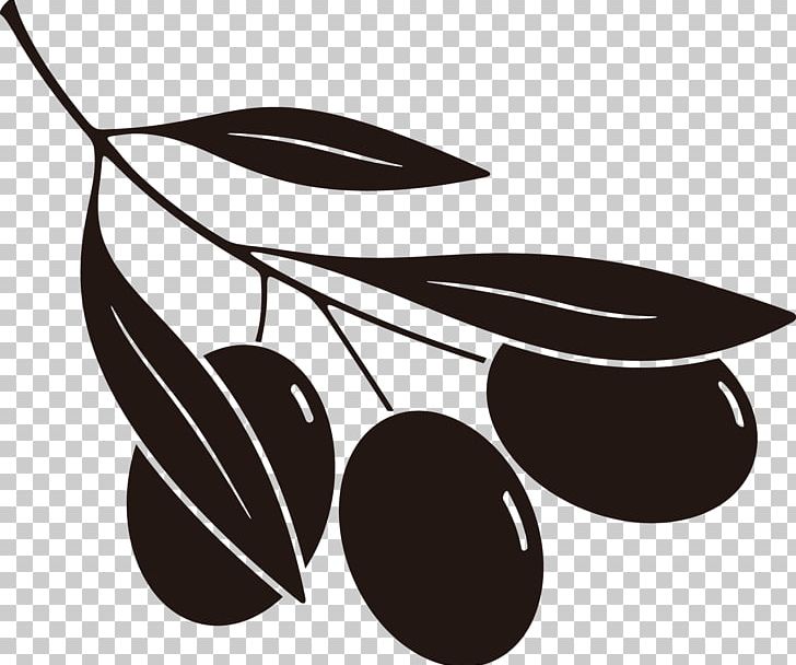 Olive PNG, Clipart, Black And White, Black Olive, Clip Art, Download, Euclidean Vector Free PNG Download