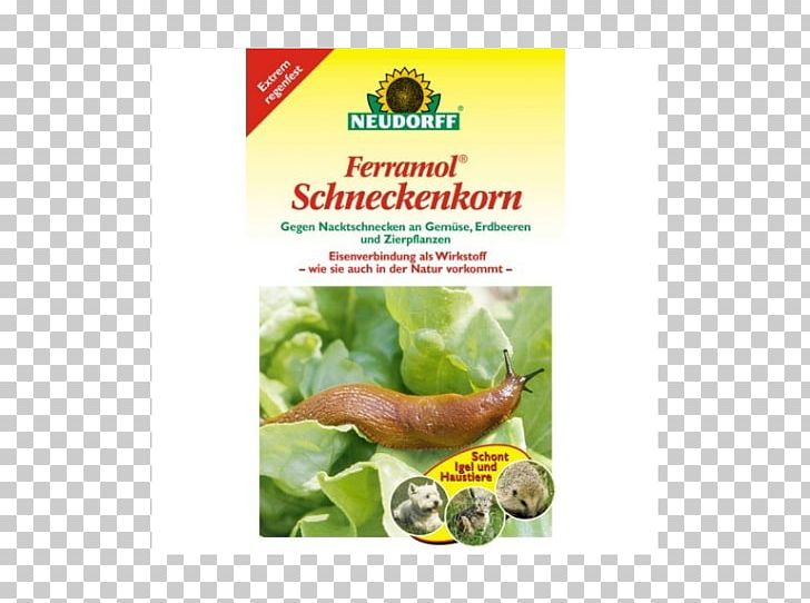 Schneckenkorn .kg Slug Gastropods .im PNG, Clipart, Artikel, Brand, Comparison Shopping Website, Flavor, Food Free PNG Download