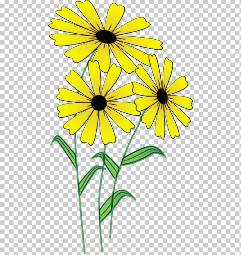 Floral Design PNG, Clipart, Chamomile, Common Daisy, Cut Flowers, Drawing, Floral Design Free PNG Download