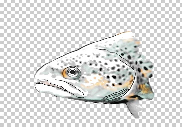 Brown Trout Fishing Brook Trout PNG, Clipart, Animals, Bony Fish, Brook Trout, Brown Trout, Digital Cameras Free PNG Download