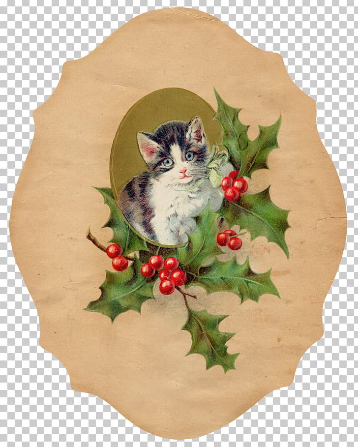 Cat Kitten Christmas Ornament PNG, Clipart, Animals, Aquifoliaceae, Candy Cane, Cat, Christmas Free PNG Download