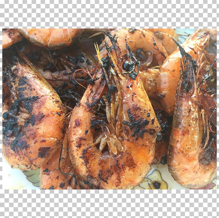 Pellet Fuel Barbecue Romeritos Herb Smoking PNG, Clipart, Animal Source Foods, Barbecue, Cooking, Dish, Food Free PNG Download