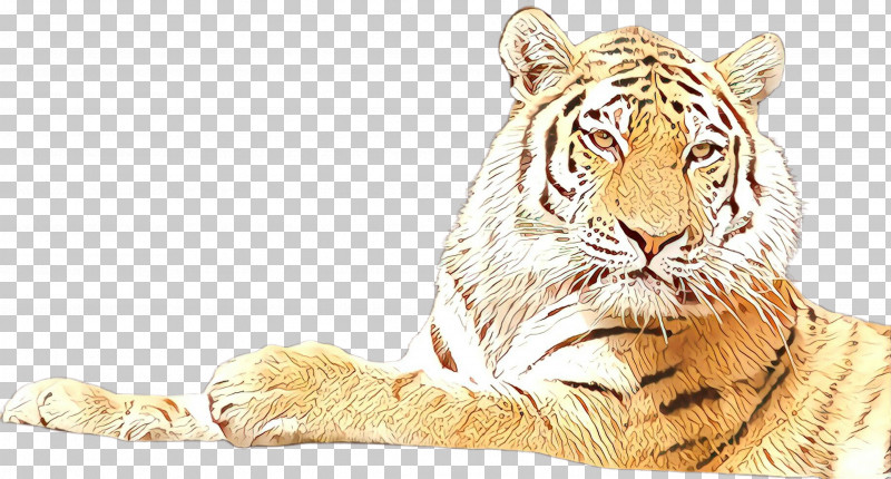 Tiger Bengal Tiger Wildlife Siberian Tiger PNG, Clipart, Bengal Tiger, Siberian Tiger, Tiger, Wildlife Free PNG Download