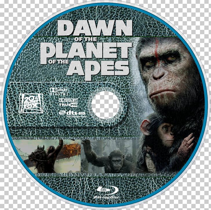Film Snout Poster Printing Dawn Of The Planet Of The Apes PNG, Clipart, Dawn Of The Planet Of The Apes, Dvd, Film, Others, Planet Of The Apes Free PNG Download