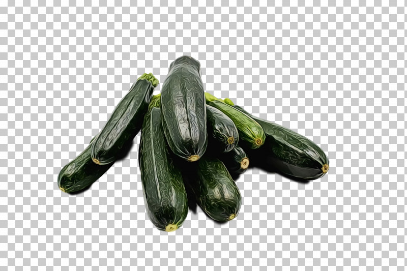 Cucumber Mussel PNG, Clipart, Cucumber, Mussel, Paint, Watercolor, Wet Ink Free PNG Download