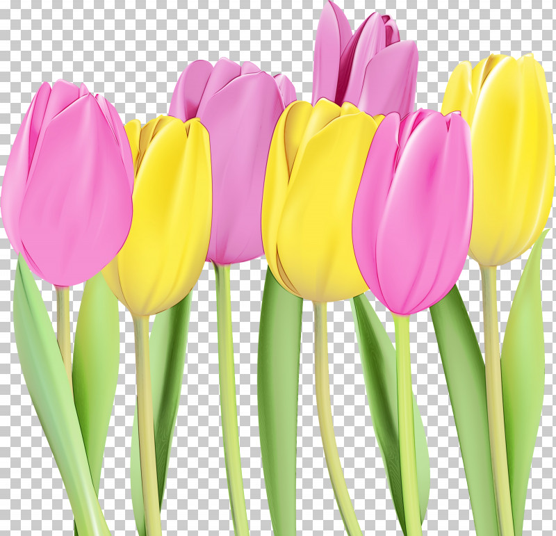 Floral Design PNG, Clipart, Color, Cut Flowers, Drawing, Floral Design, Flower Free PNG Download