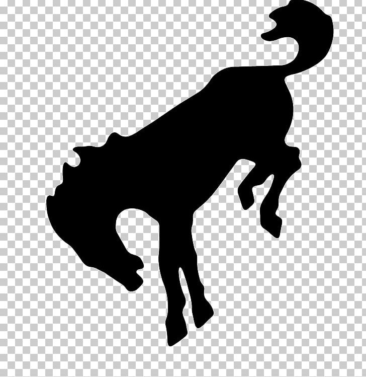 Bucking Mustang Silhouette Bronco PNG, Clipart, Black, Black And White, Bronco, Bronc Riding, Buck Free PNG Download