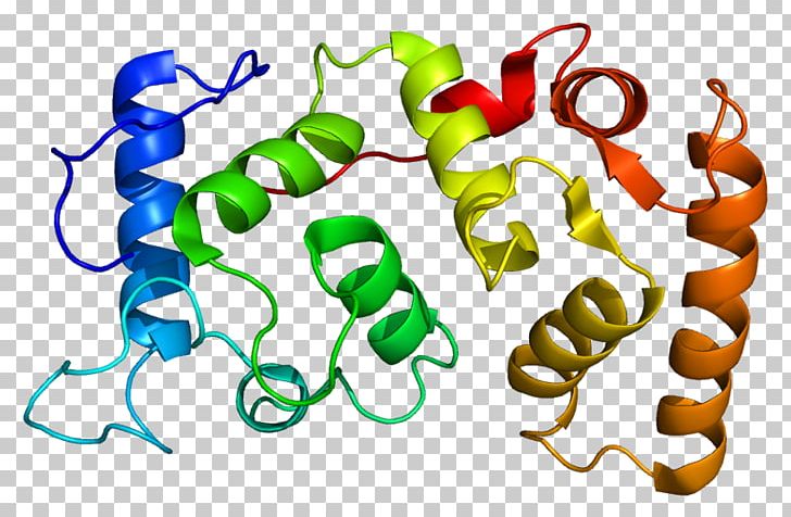 CIB1 Integrin Protein Gene Thrombopoietin PNG, Clipart,  Free PNG Download