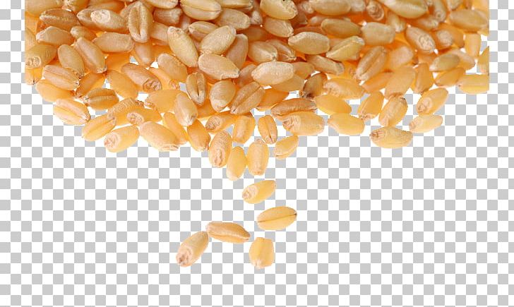Common Wheat Cereal Whole Grain Wheat Berry Food Grain PNG, Clipart, Cereal, Cereal Germ, Commodity, Common Wheat, Corn Kernels Free PNG Download