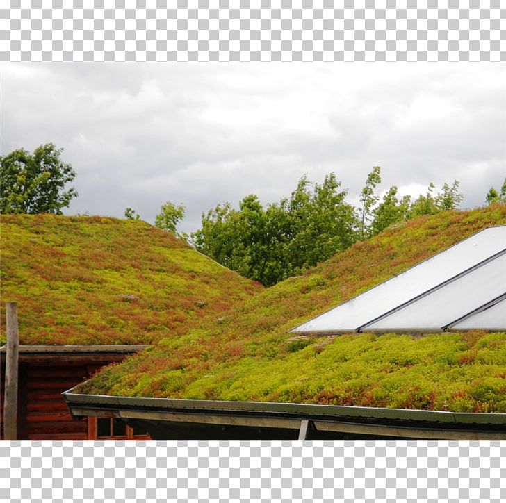 Roof Garden Zöldtetők Green Roof Ecogrid PNG, Clipart, Daylighting, Diadem, Energy, Grass, Grasses Free PNG Download