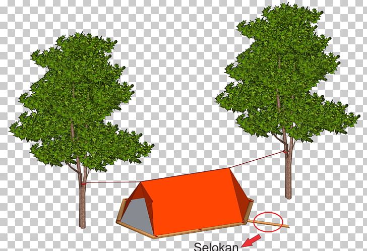 Tarp Tent Bivouac Shelter Tree Tarpaulin PNG, Clipart, Arah, Bivouac Shelter, Flowerpot, Grass, Height Free PNG Download