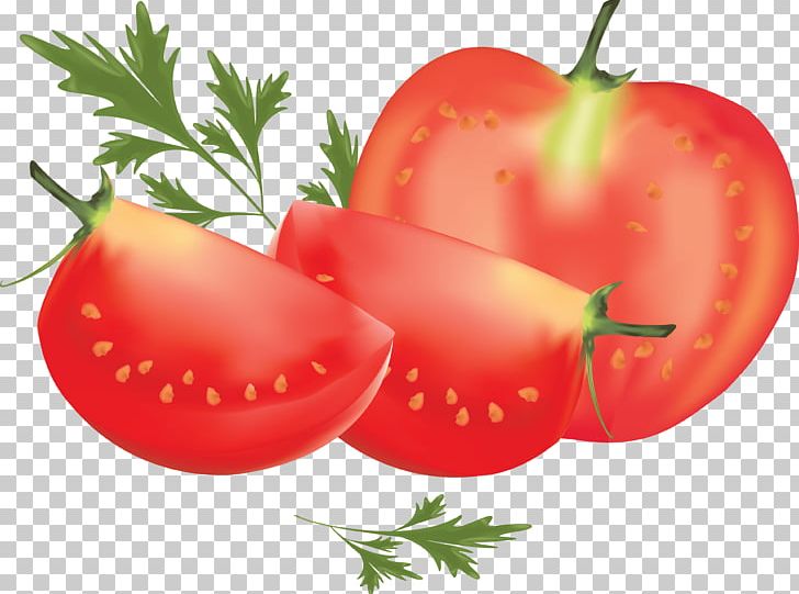 Tomato Vegetable PNG, Clipart, Apple, Bell Peppers And Chili Peppers, Bikini, Bikinibody, Bodybuildingfood Free PNG Download