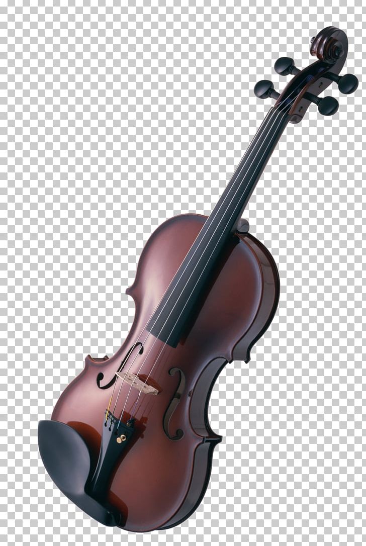 Violin Musical Instruments String Instruments Cello PNG, Clipart, Bowed String Instrument, Cello, Chamber Music, Classical Music, Double Bass Free PNG Download