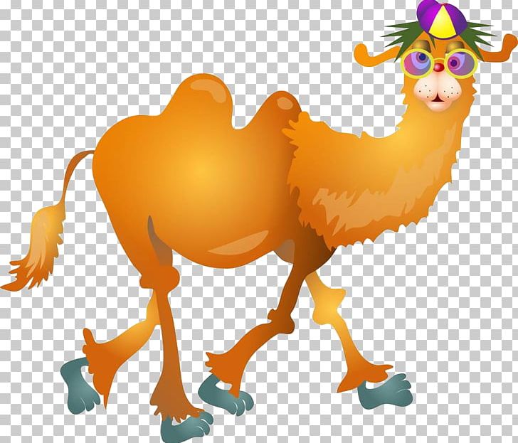 Camel PNG, Clipart, Animal, Animals, Art, Back, Back On The Mountain Free PNG Download