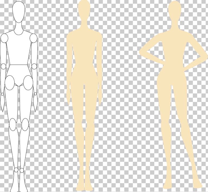 Illustrator PNG, Clipart, Abdomen, Arm, Back, Chest, Computer Icons Free PNG Download