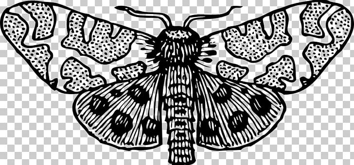 Butterfly Insect PNG, Clipart, Arthropod, Black And White, Brush Footed Butterfly, Butter, Butterflies And Moths Free PNG Download