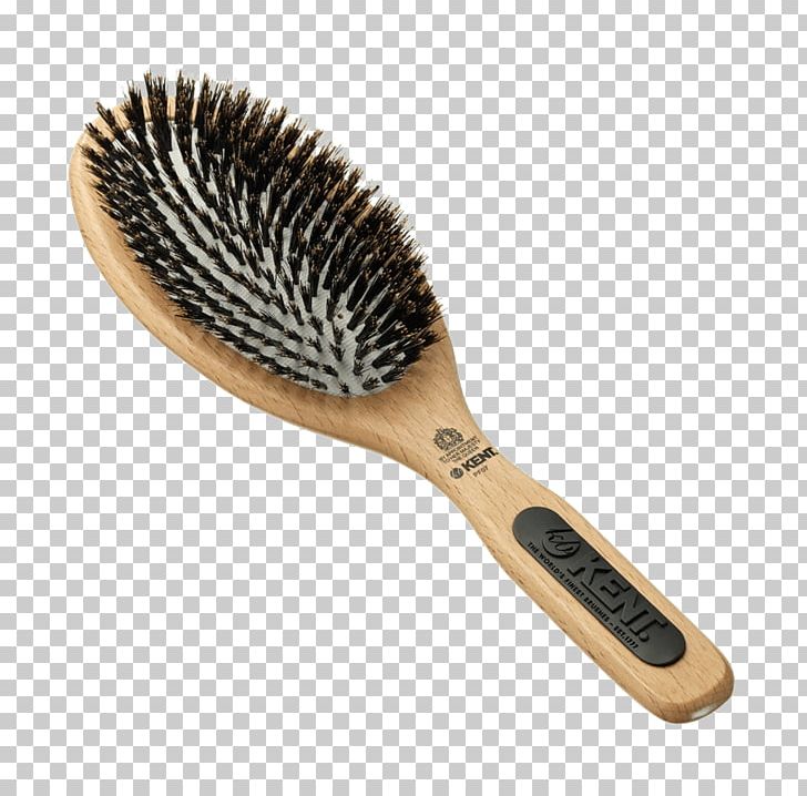 Comb Bristle Hairbrush PNG, Clipart, Bristle, Brush, Comb, Hair, Hairbrush Free PNG Download
