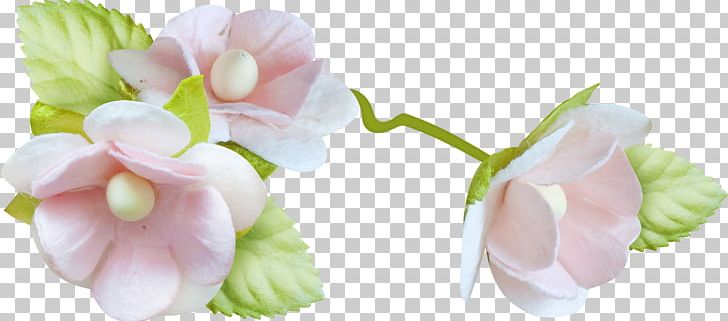 Cut Flowers Petal Child Drawing PNG, Clipart, Advertising, Baby, Blossom, Bud, Chemical Element Free PNG Download