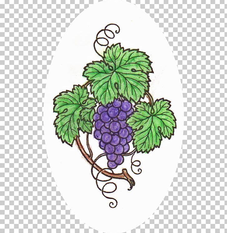 Grape Flowerpot Vine Tree PNG, Clipart, Chalk Pencil, Flower, Flowering Plant, Flowerpot, Food Free PNG Download
