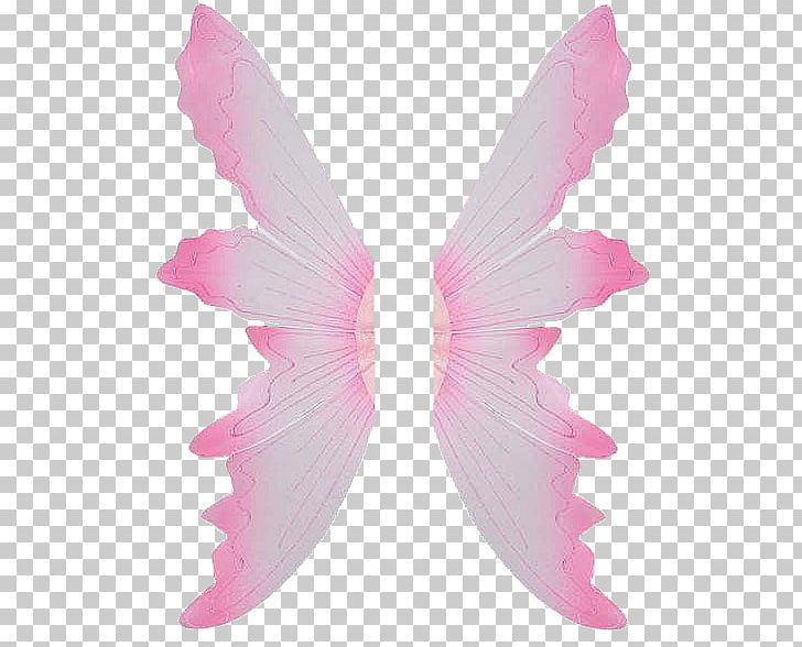 PhotoScape Photography PNG, Clipart, Aile, Alas, Angel, Animaatio, Butterfly Free PNG Download
