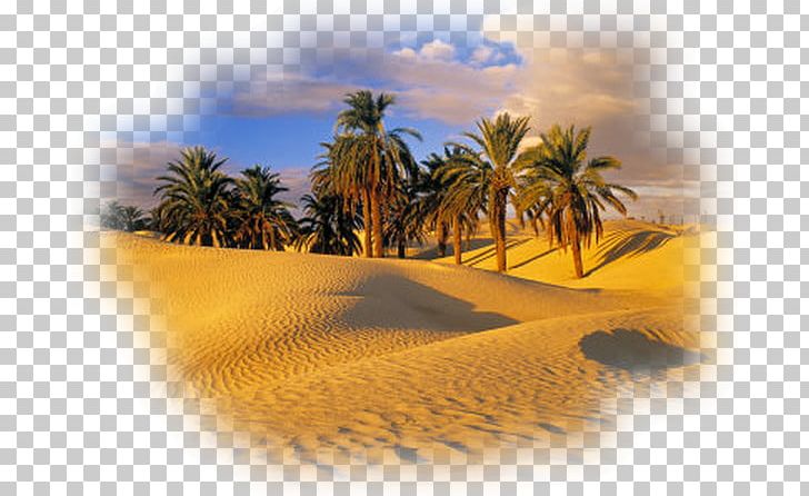 Sahara Oasis Desert Landscape Ghadames PNG, Clipart, Aeolian Landform, Arecales, Arid, Badain Jaran Desert, Computer Wallpaper Free PNG Download