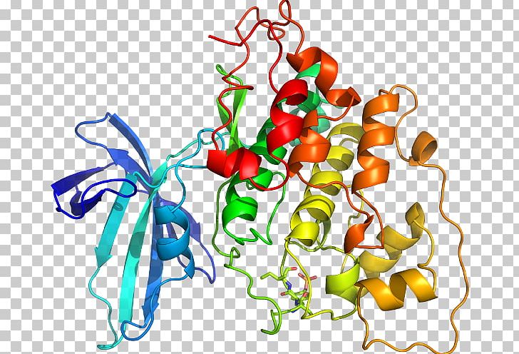 Vegetable GSK-3 Glycogen Synthase Kinase PNG, Clipart, Animal Figure, Artwork, Chemical Compound, Cystathionine Beta Synthase, Download Free PNG Download