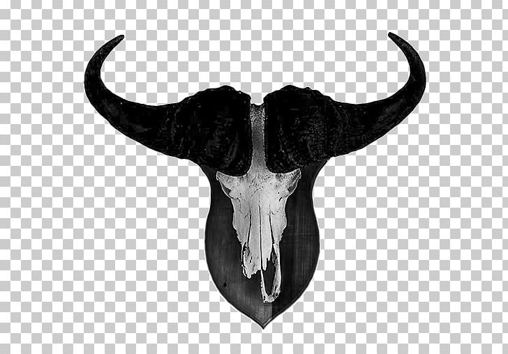 Cattle Skull White Jeffrey Horn PNG, Clipart, Black And White, Bone, Cattle, Cattle Like Mammal, Cow Goat Family Free PNG Download
