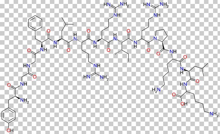 Dynorphin Endorphins Enkephalin Opioid Peptide Beta-Endorphin PNG, Clipart, Amino Acid, Angle, Area, Betaendorphin, Blue Free PNG Download