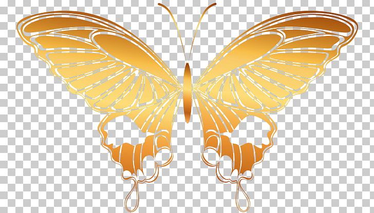 Monarch Butterfly Moth Nymphalidae Insect PNG, Clipart, Arthropod, Brush Footed Butterfly, Butter, Insect, Insects Free PNG Download