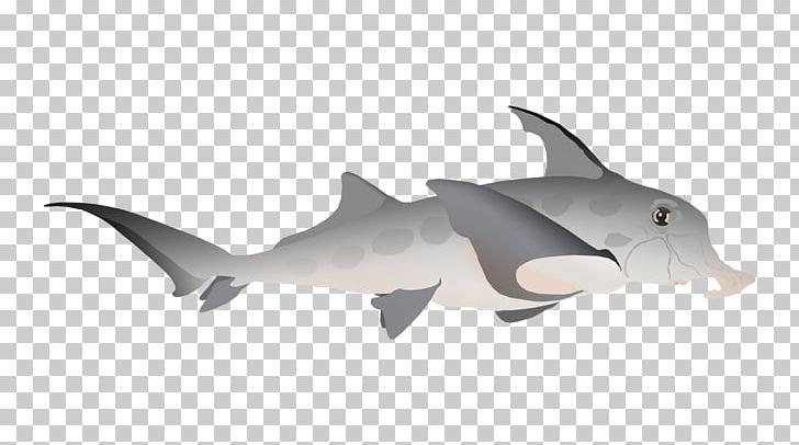 Requiem Sharks Porpoise Fauna Cetacea PNG, Clipart, Animal, Animal Figure, Animals, Cartilaginous Fish, Cetacea Free PNG Download