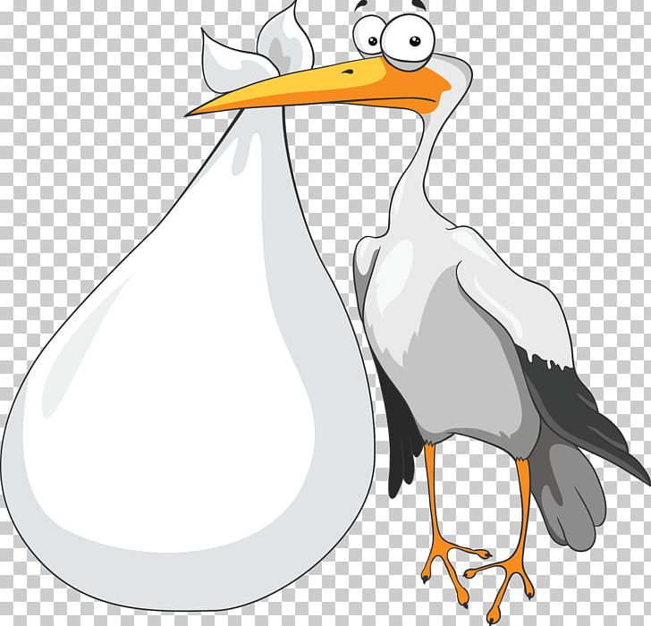 Stork PNG, Clipart, Stork Free PNG Download