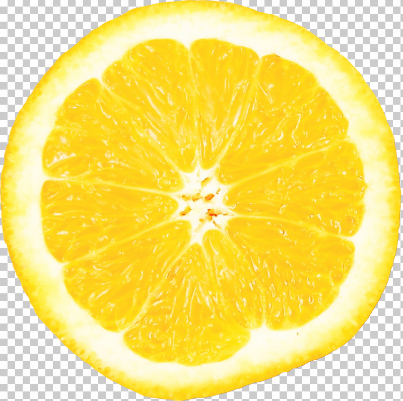 Orange PNG, Clipart, Citrus, Drawing, Fruit, Lemon, Lemonlime Drink Free PNG Download
