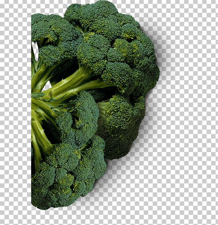 Baked Potato Baking Broccoli Kale PNG, Clipart, Baked Potato, Baking, Broccoli, Craft, Europe Free PNG Download