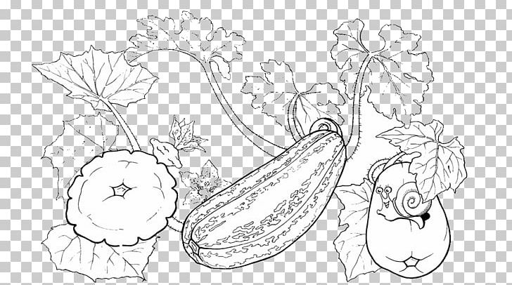 Drawing Zucchini Pattypan Squash Coloring Book Vegetable PNG, Clipart, Artwork, Black And White, Brussels Sprout, Cucumber, Cucurbita Free PNG Download