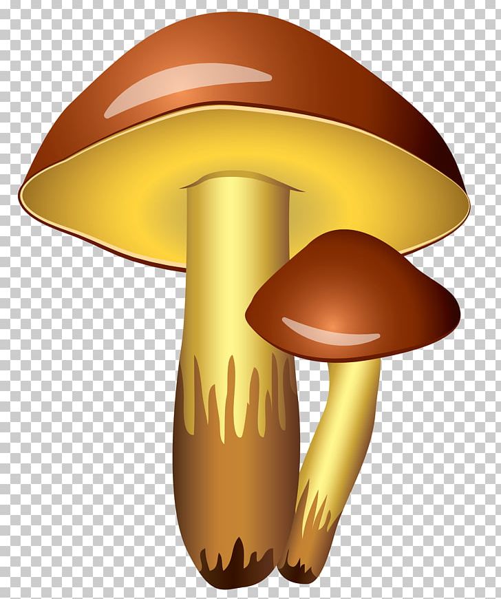 Mushroom Icon PNG, Clipart, Autumn, Clipart, Clip Art, Common Mushroom, Edible Mushroom Free PNG Download