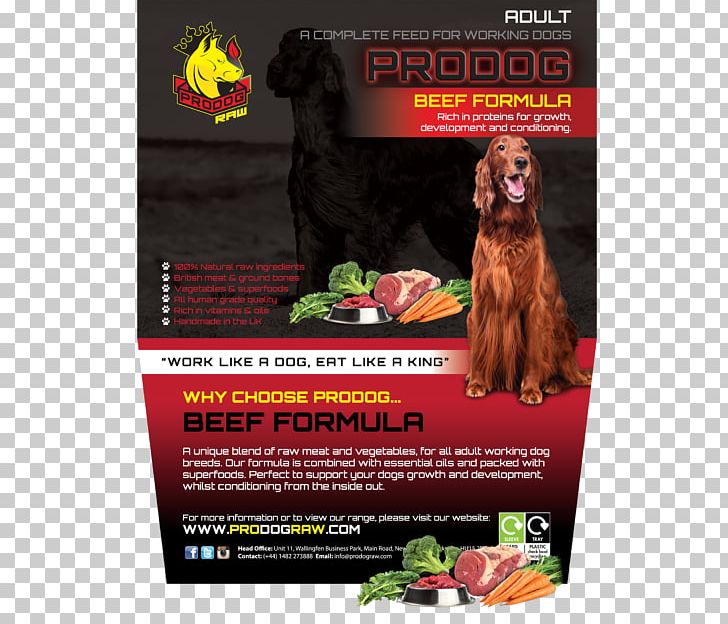 Raw Foodism Shih Tzu Dog Food Raw Feeding Offal PNG, Clipart, Advertising, Beef, Chicken As Food, Diet, Dog Free PNG Download