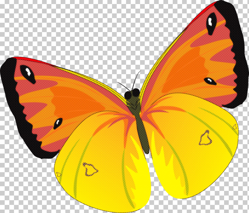 Monarch Butterfly PNG, Clipart, Angarsk, Aphorism, Brushfooted Butterflies, Butterflies, Clouded Yellows Free PNG Download