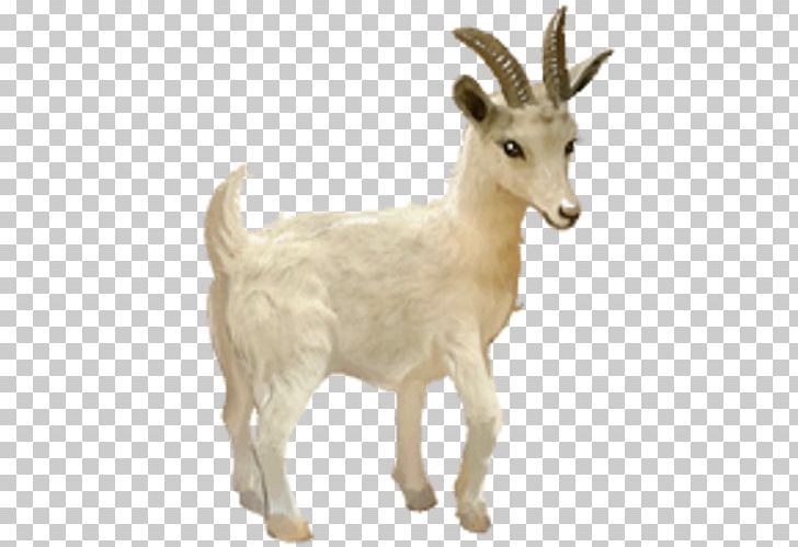 Howrse Horse Goat YouTube PNG, Clipart, Android, Animal Figure, Animals, Antelope, Barbary Sheep Free PNG Download
