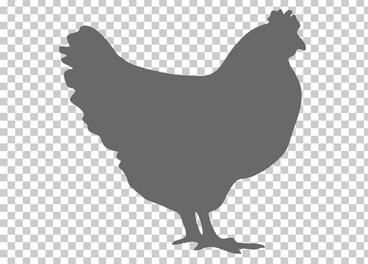 Roast Chicken Fried Chicken Rooster PNG, Clipart,  Free PNG Download