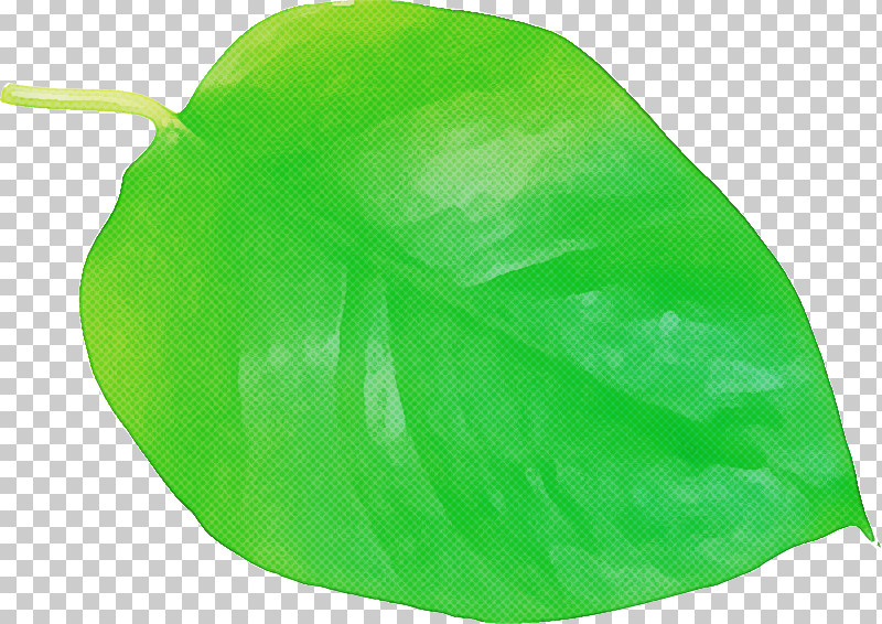 Leaf Green Fruit Biology Plants PNG, Clipart, Biology, Fruit, Green, Leaf, Plants Free PNG Download