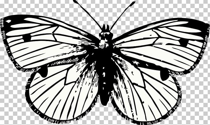 Butterfly Tattoo Drawing PNG, Clipart, Arthropod, Artwork, Black And White, Brush Footed Butterfly, Flower Free PNG Download