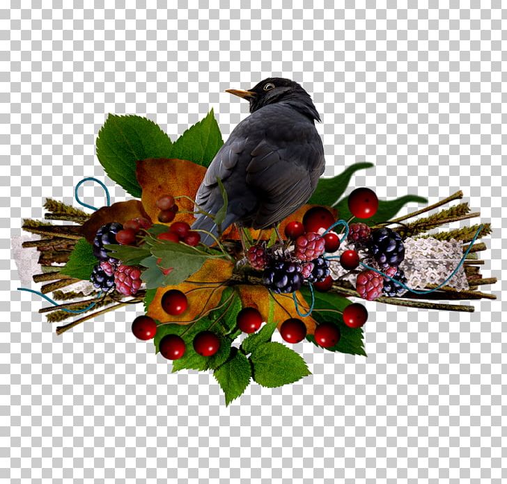 RGB Color Model PNG, Clipart, Autumn, Beak, Bird, Black, Black Crow Free PNG Download
