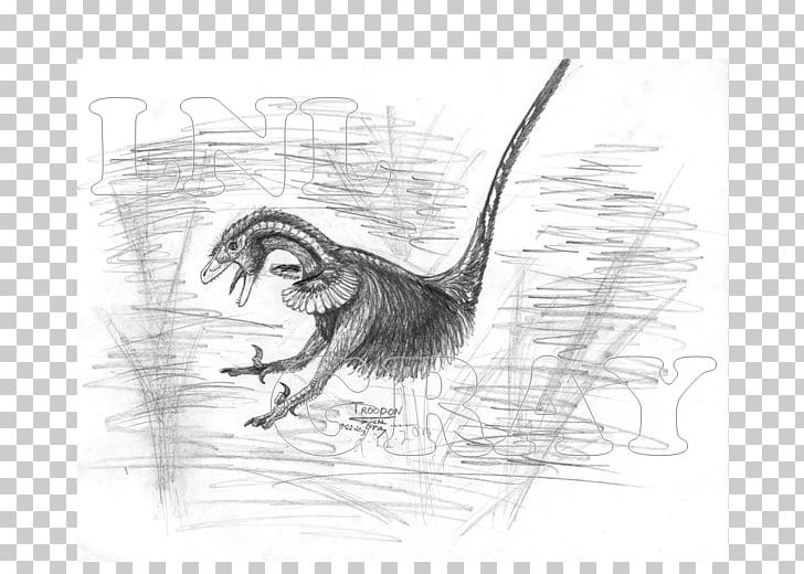 Beak Velociraptor Drawing Sketch PNG, Clipart, Art, Artwork, Beak, Bird, Black And White Free PNG Download