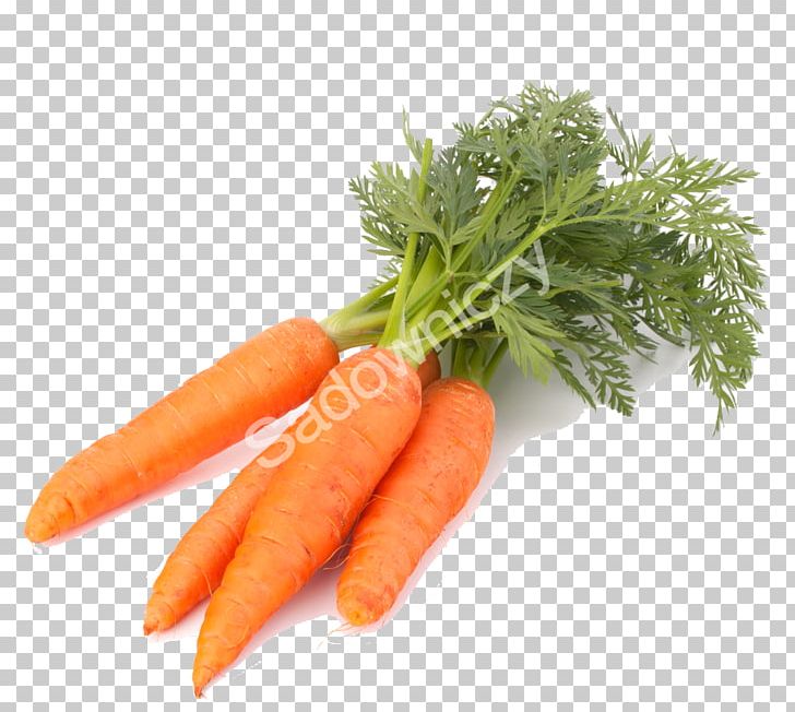 Carrot Food Vegetable Juice Health PNG, Clipart, Baby Carrot, Carrot, Celeriac, Chinese Cabbage, Daucus Carota Free PNG Download