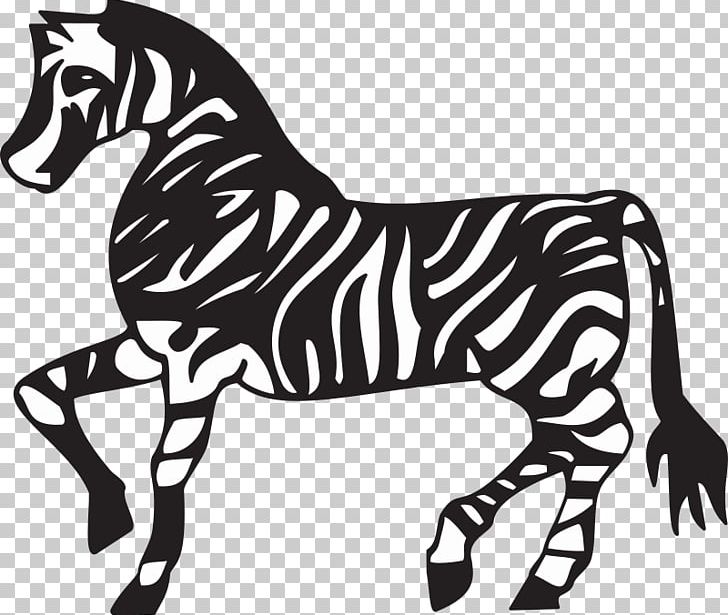 Horse Zebra PNG, Clipart, Animals, Big Cats, Carnivoran, Cat Like Mammal, Desktop Wallpaper Free PNG Download