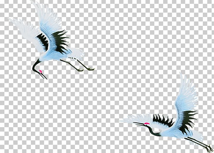 Red-crowned Crane Bird PNG, Clipart, Beak, Computer Wallpaper, Crane, Download, Fauna Free PNG Download