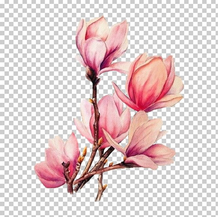 Watercolor Painting Drawing Tattoo Watercolour Flowers PNG, Clipart, Art, Art Museum, Blossom, Branch, Cherry Blossom Free PNG Download
