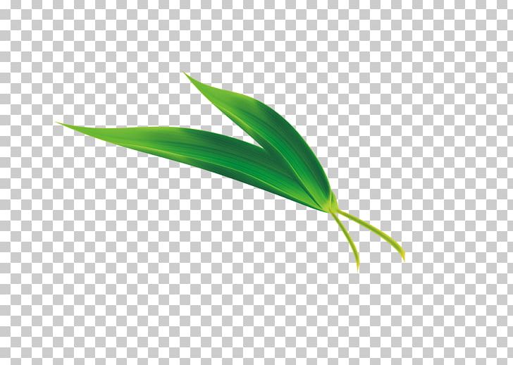 Zongzi Dragon Boat Festival Leaf Bamboo PNG, Clipart, Autumn Leaves, Banana Leaves, Chinese Dragon, Computer Wallpaper, Download Free PNG Download