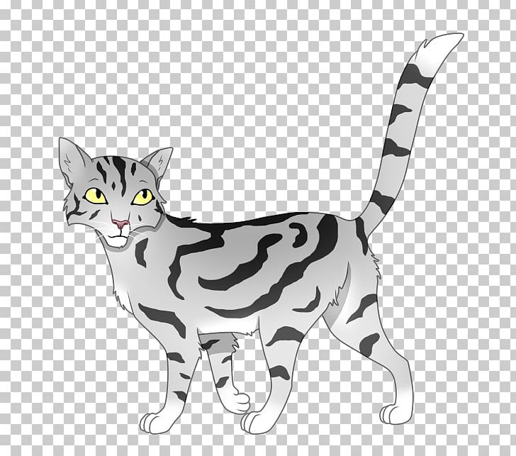 American Shorthair American Wirehair California Spangled Manx Cat Sokoke PNG, Clipart, Animals, Asian, Carnivoran, Cat, Cat Like Mammal Free PNG Download