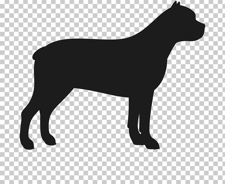 American Staffordshire Terrier Staffordshire Bull Terrier Horse PNG, Clipart, Animals, Black, Black And White, Brithis Shorthair, Bull Terrier Free PNG Download